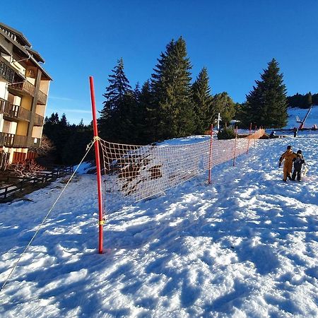 Charmant Studio Rez-De-Neige Chabanon Selonnet Kültér fotó